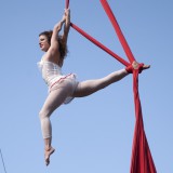 Silks